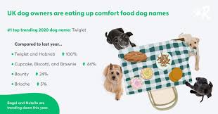 This female dog name is perfect for a dog born in december or received as a christmas gift. The Most Popular Male And Female Dog Names Of 2020 Rover Com