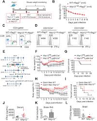 The currency symbol is rm. Nlrp12 Regulates Anti Viral Rig I Activation Via Interaction With Trim25 Abstract Europe Pmc