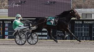 Tom Svrcek wins Meadows GLADA trot