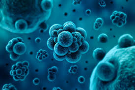 Kuda Mozhno Postupit S Biologiej Profgid