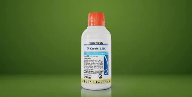 Karate 2.5EC