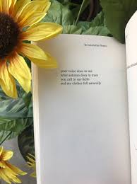 Image Result For The Sun And Her Flowers Flower Quotes Flower Quotes Inspirational Sun Quotes
