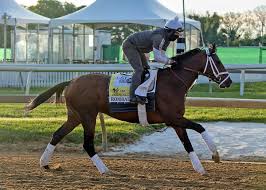 The 146th preakness stakes will be held on saturday, may 15. Aasvjqjddw9q0m