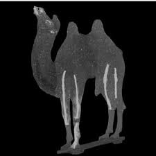 Tang dynasty camel with foreign rider and dog. Pdf On The Production And Firing Of 7th Century Chinese Reinforced Ceramic Horses And Camels