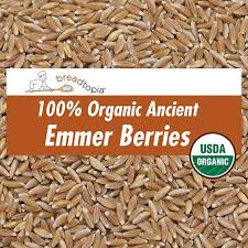 Choose from a massive range of. Emmer Wheat Berries Wheat Berries Berries Whole Grain Cereals