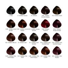 It's permanent color with harmonizing highlights that blend seamlessly to create an elegant look in just one box. Tube Coloration Majirel 4 56 Chatain Acajou Rouge L Oreal Professionnel