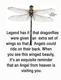 Pin By Kathleen Fuson On Dragonfly Art In 2020 Inspirational Humor Cool Words Inspirational Quotes Motivation