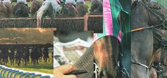 Navan Horse Racing Betting Tips for Sunday 8th February