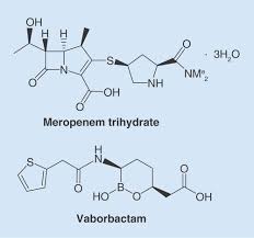 Image result for Meropenem Vaborbactam