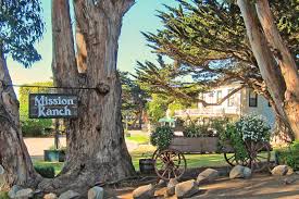 It is painted in oil on a sturdy primed professional gessobord panel, 1/8 thick. Carmel Mission Ranch