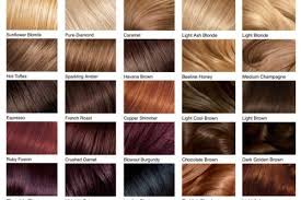 hair color chart shades of blonde
