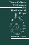 Plant tissue culture historical developments and applied aspects h r dagla the success of plant biotechnology relies on the fundamental techniques of furthermore, the ability to grow plant cells and tissues in culture and to control their development forms the basis of many practical applications. Plant Cell And Tissue Culture A Laboratory Manual J Reinert Springer