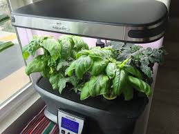 Planting, care, harvest and tips. Aerogarden Ultra Led Review All Day I Eat Like A Shark