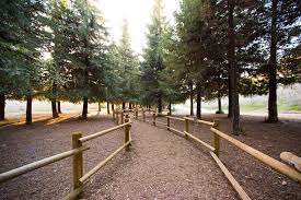 Carbon canyon redwood grove 2020carbon canyon regional park has total of 124 acres. Reindeer In The Redwoods Event Full Irvine Ranch Natural Landmarks
