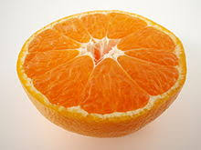 See more ideas about orange, orange zest, oranges. Zest Ingredient Wikipedia