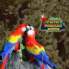 parrot mounn and gardens smoky