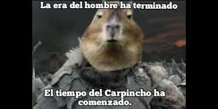 Listen to carpincho | soundcloud is an audio platform that lets you listen to what you love and share rafaela. Qkuvyllek5t Jm