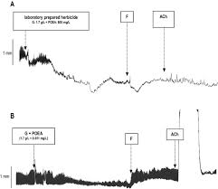 The Effect Of Glyphosate Based Herbicide Roundup And Its Co