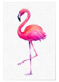 They range from about 90 to 150 cm (3 to 5 feet) tall. Miss Coopers Lounge Flamingo 1 Poster Online Bestellen Posterlounge De