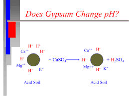 Pulverized limestone is the most common and inexpensive acid neutralizer. K State Agronomy Eupdates Eupdates Eupdates