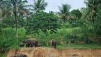First Class Sri Lanka Hotels- Downtown Hotels in Sri Lanka- 3 ...