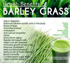 Organic Eu Barleygrass Powder Eu Grown Premium Quality Barley Health Benefits Barley Benefits Coconut Milk Nutrition