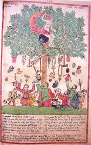 Lost English Tree Of Fortune With His Sic Fruits Colour Washed Drawing In Thomas Trevilian S Great Book Compile Vintage World Maps Drawings Illustration