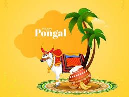 Happy pongal religious traditional festival of tamil nadu india. Pongal 2021 Date And Other Details All You Need To Know About The Festival