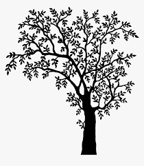 Maybe you would like to learn more about one of these? Tree Drawing Realistic Tree Clipart Black And White Hd Png Download Transparent Png Image Pngitem