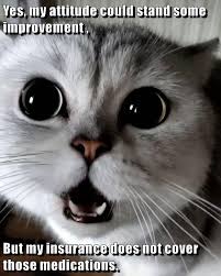 Top 25 Memes Of The Week Cheezburger Users Edition 97 Cute Animals Cute Baby Animals Baby Animals