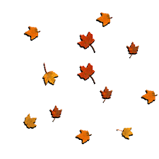 Rodgers went deep on some of the issues that led to an awkward standoff — and at least a temporary reconciliation for this season. Gif Animation Butterfly Gif Transparent Background Novocom Top