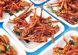 25 foods you should try at least once eating insects food food trends