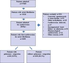 I'm think that 11 months is pretty good but am now a bit concerned that subsequent cardioversions won't last as long. Pulmonary Congestion Complicating Atrial Fibrillation Cardioversion Sciencedirect