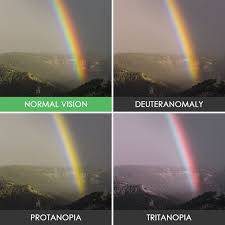 Here's how people with color blindness see the world. How Do Non Colour Color Blind People Actually See Rainbows Nostupidquestions
