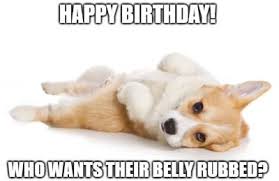 20 Funny Birthday Wishes For Dog Lovers Funny Birthday Wishes