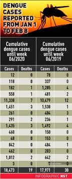 .html('dengue cases in malaysia, '+ d3.extent(years, function(d){ return +d.key }).join(' to ') ); Aedes Menace Selangor Folk Too Laid Back