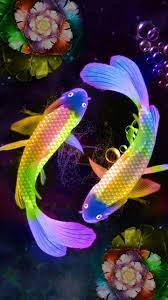 Lucky Fish Koifish Luck Wallpaper Japanese Art Fish Wallpaper Iphone Live Fish Wallpaper Fish Wallpaper