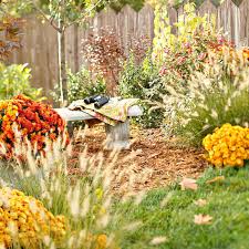 These are vegetables that prefer the cooler, more the three main types of vegetables that will do well in a fall garden are: Denton Fall Garden Fest Focuses On North Texas Gardening News Starlocalmedia Com