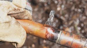 Image result for Copper Poisoning