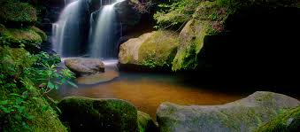 The Canyon — National Natural Landmark - Dismals Canyon