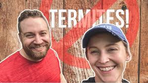 Replacing a Termite Infested Patio Fence