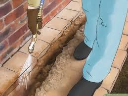 For at least half an hour, the termites there will die. How To Get Rid Of Termites With Pictures Wikihow