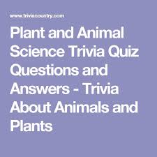 Do you know the secrets of sewing? Plant And Animal Science Trivia Quiz Questions And Answers Trivia About Animals And Plants Science Trivia Quiz Questions And Answers Trivia Quiz Questions