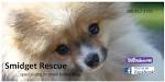 Dog Adoption :: Search by breed, size, age and location.