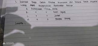 Jelaskan Pada Contoh Produk Kerajinan Dari Limbah Lunak Organik Yang Dapat Menginspirasi Pembuatan Brainly Co Id