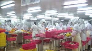 Informasi yang anda cari adalah pabrik udang di harendong. Kerja Di Pabrik Udang Kuliah Tak Tinggi Hanya Menjadi Buruh Pabrik Berita Upi Mulai Kerja Dong Hari Pertama Kerja Seperti Umumnya Orang Lakukan Saya Juga Lakukan Saya Berdandan Rapi Dan