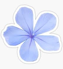 Decorate your laptops, water bottles, notebooks and windows. Blue Flower On A Transparent Background Sticker By Ellenhenry In 2021 Homemade Stickers Aesthetic Stickers Preppy Stickers