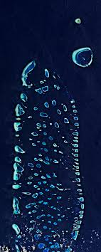 South asian country in the indian ocean. Esa Ari Atoll Maldives