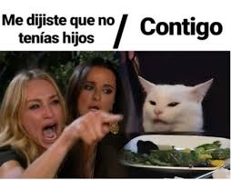 Meme Del Gato Blanco Funny Spanish Memes Memes Funny Memes