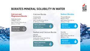 Infographic Borates Mineral Solubility In Water U S Borax